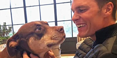 Tom Brady mit Hund Junie