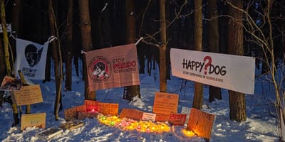 Transparenty protestującychw Sobolewie