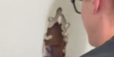 Buco in un muro