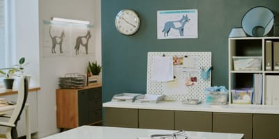 Uno studio veterinario
