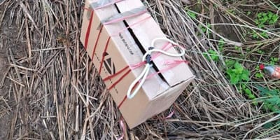 Un carton