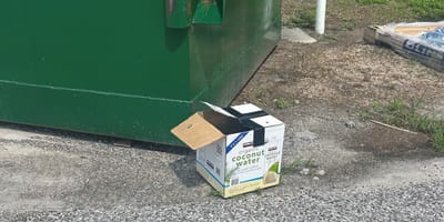 Un carton abandonné devant un refuge