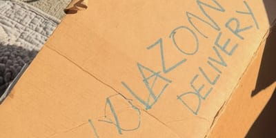 Een achtergelaten doos voor een asiel met een briefje