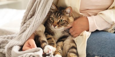 Un chat et son humaine