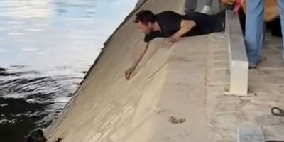 Un chien a été sauvé de la noyade