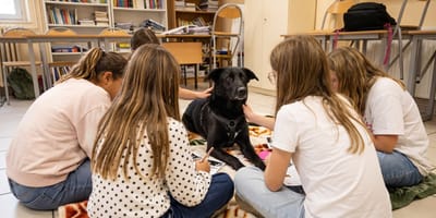 Un chien au collège pour accompagner les enfants