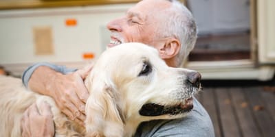 Un chien et son maître
