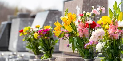 Un cimetière fleuri