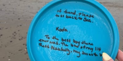 Ein am Strand gefundener Frisbee mit einer bewegenden Botschaft