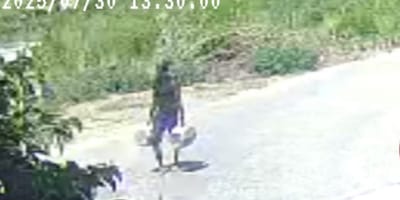 Un homme en train d'abandonner des chats