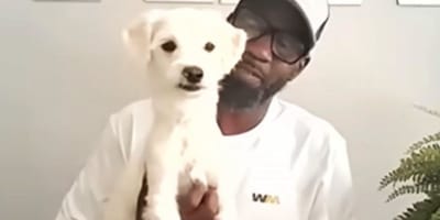 un homme et un chien