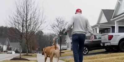 Een man die zijn hond uitlaat op straat