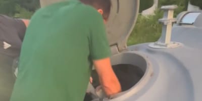 Un homme trouve un chaton dans une poubelle