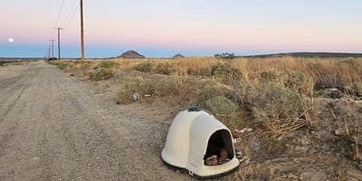 Un igloo abandonné dans le désert