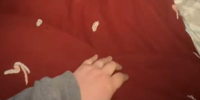 A bed