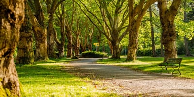 Un parc
