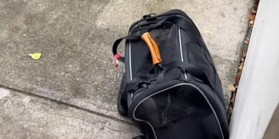 Un sac abandonné devant un refuge