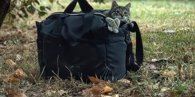 Eine schwarze Reisetasche