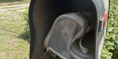 Un sac zippé dans une boite aux lettres