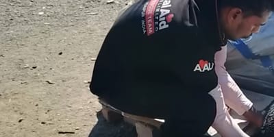 Soccorritore dei cani.