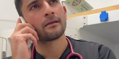 Un vétérinaire