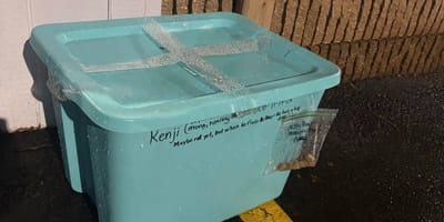 A sealed box abandoned outdoors