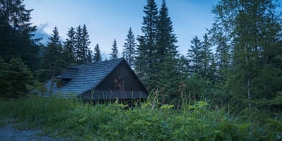 Une cabane dans la forêt