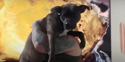 Une chienne dans les bras de sa famille d'accueil