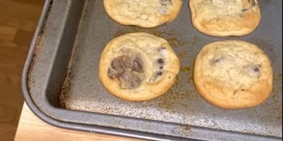 Une fournée de cookies