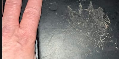 Une mystérieuse empreinte dans une cuisine