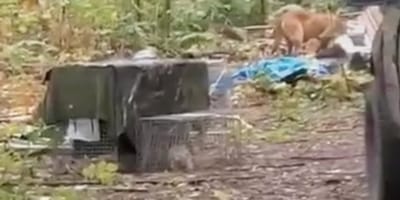 Een oude, verlaten caravan