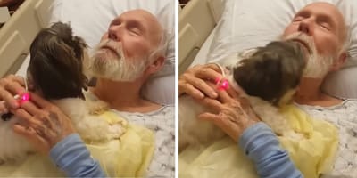 Älterer Mann im Krankenhaus umarmt Hund