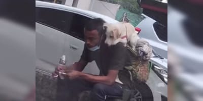 Mann mit Hund auf den Schultern