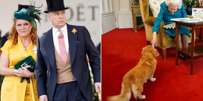 ¿Le van a quitar los corgis a Andrés?