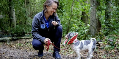 Verwaarloosde hond Emma knapt eindelijk weer op na tragisch verhaal