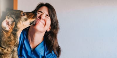 Vétérinaire soigne un chien