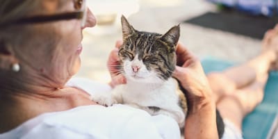 vieille dame et chat