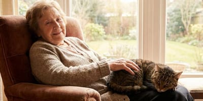 Vieille dame et son chat