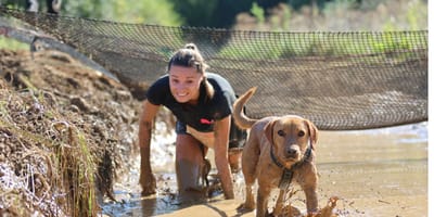 Vivez des moments de bonheur et de sport avec votre toutou au Woofest