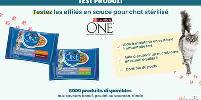 🐾 Votre chat mérite le meilleur ! Testez gratuitement Purina One Chat – Effilés en sauce spécial chat stérilisé 😻