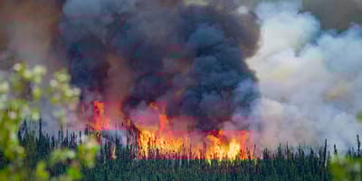 Waldbrand in Kanada