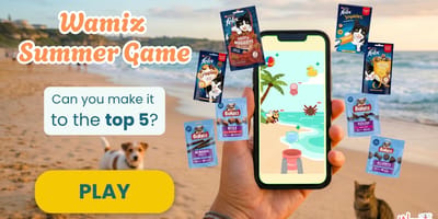 Wamiz summer game