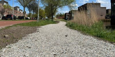 Wat is er met dit schelpenpad aan de hand?