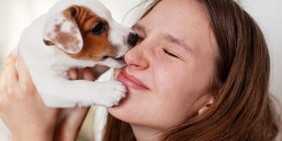 Welpe leckt Frau durchs Gesicht