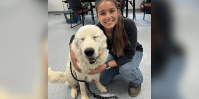 White rescue dog who tricked staff
