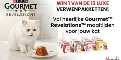 Win Gourmet Revelations