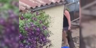 Woman holding dogs by necks