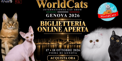 Worldcats a Genova