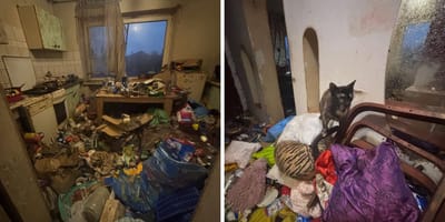 Zaniedbana ruina dom