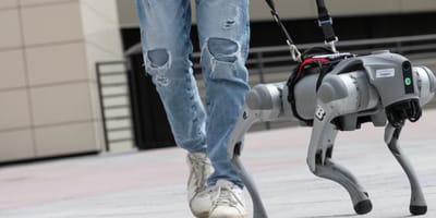 Zijn AI-geleidehonden de toekomst?